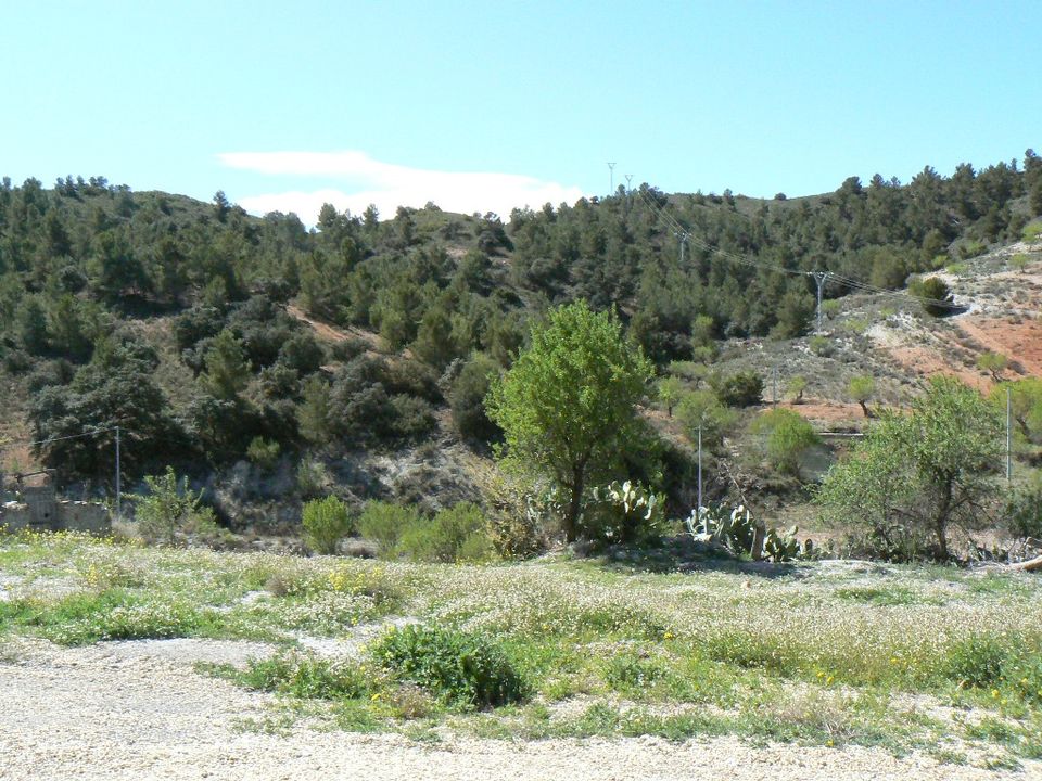Cortijo i Lorca, Murcia - foto 4